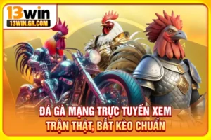 Đá gà mạng